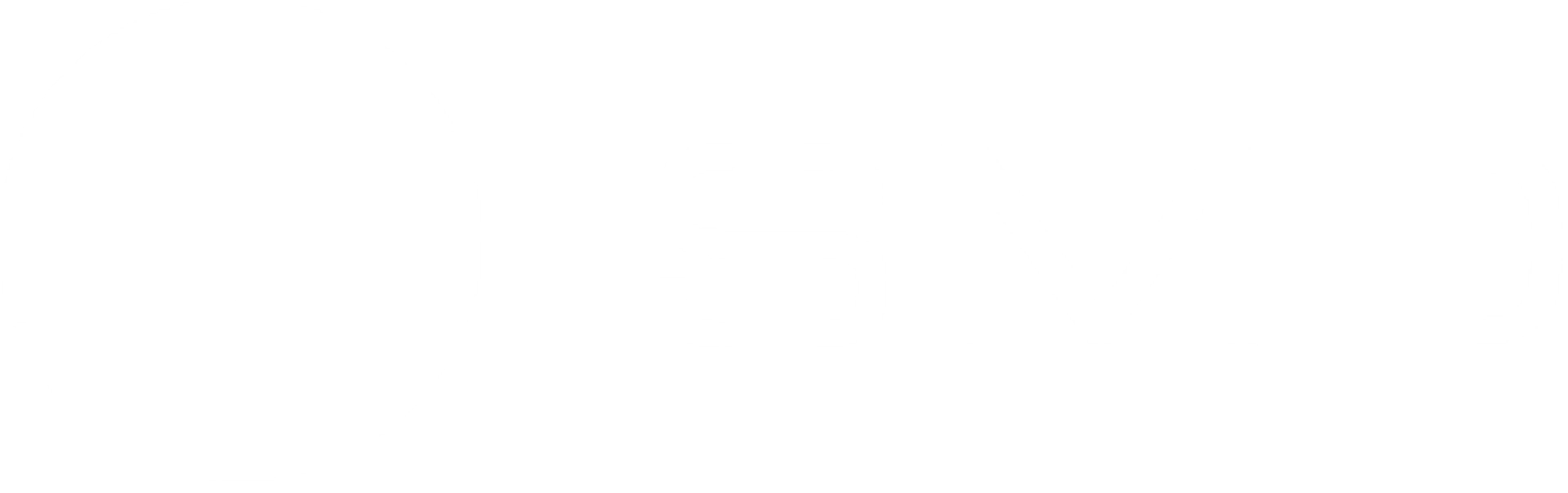 PHOENIX-SYSTEMS
